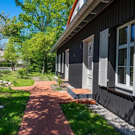 Ferienhaus Ostseedomizil Ankerbuk, Austernfischer *